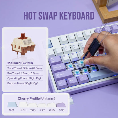 Wireless Gaming Mechanical Keyboard