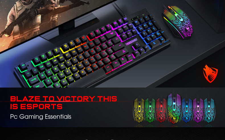 RGB Backlit Keyboard and Mouse Combo