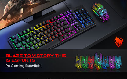 RGB Backlit Keyboard and Mouse Combo